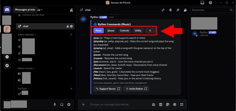 How To Use Rythm Bot RYTHM CONTROL: how to use it on your Discord server?