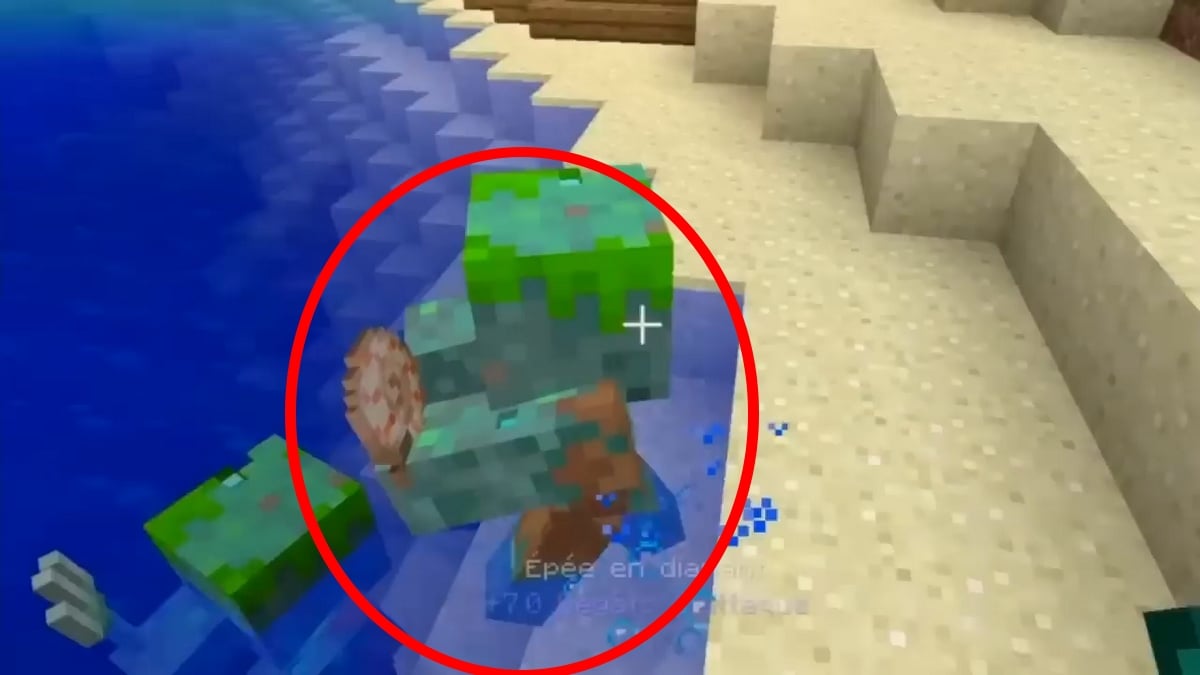 Un ahogado con una concha de berberecho