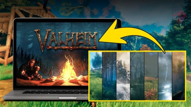 Tous les biomes différents sur Valheim