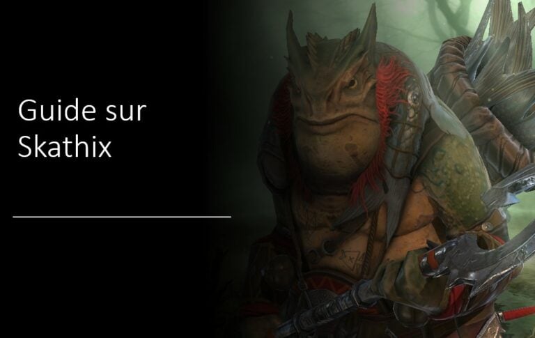 del-billede-for-skathix