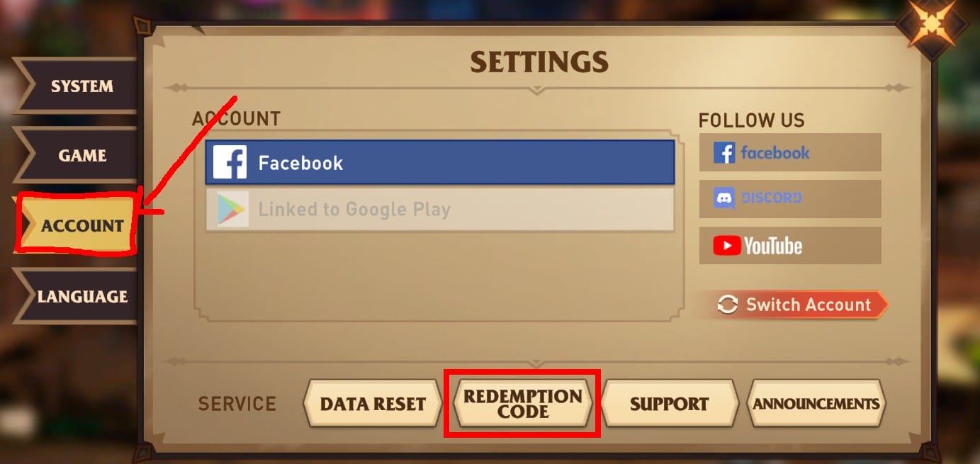 Image that shows where the account and the redemption code are