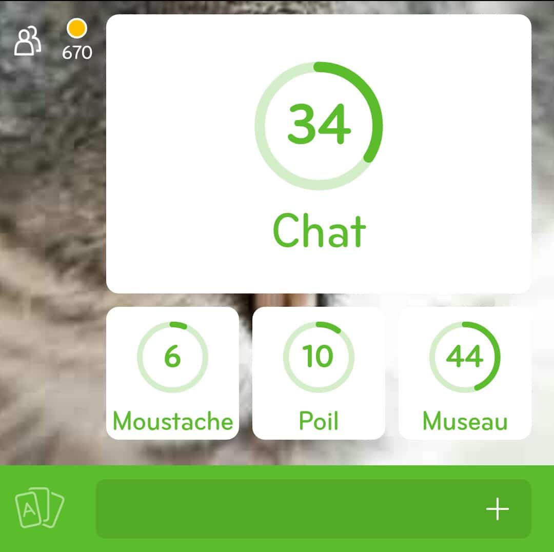 Images des solutions, réponses et aide pour le niveau 18 : Photo d'un chat du jeu mobile 94%