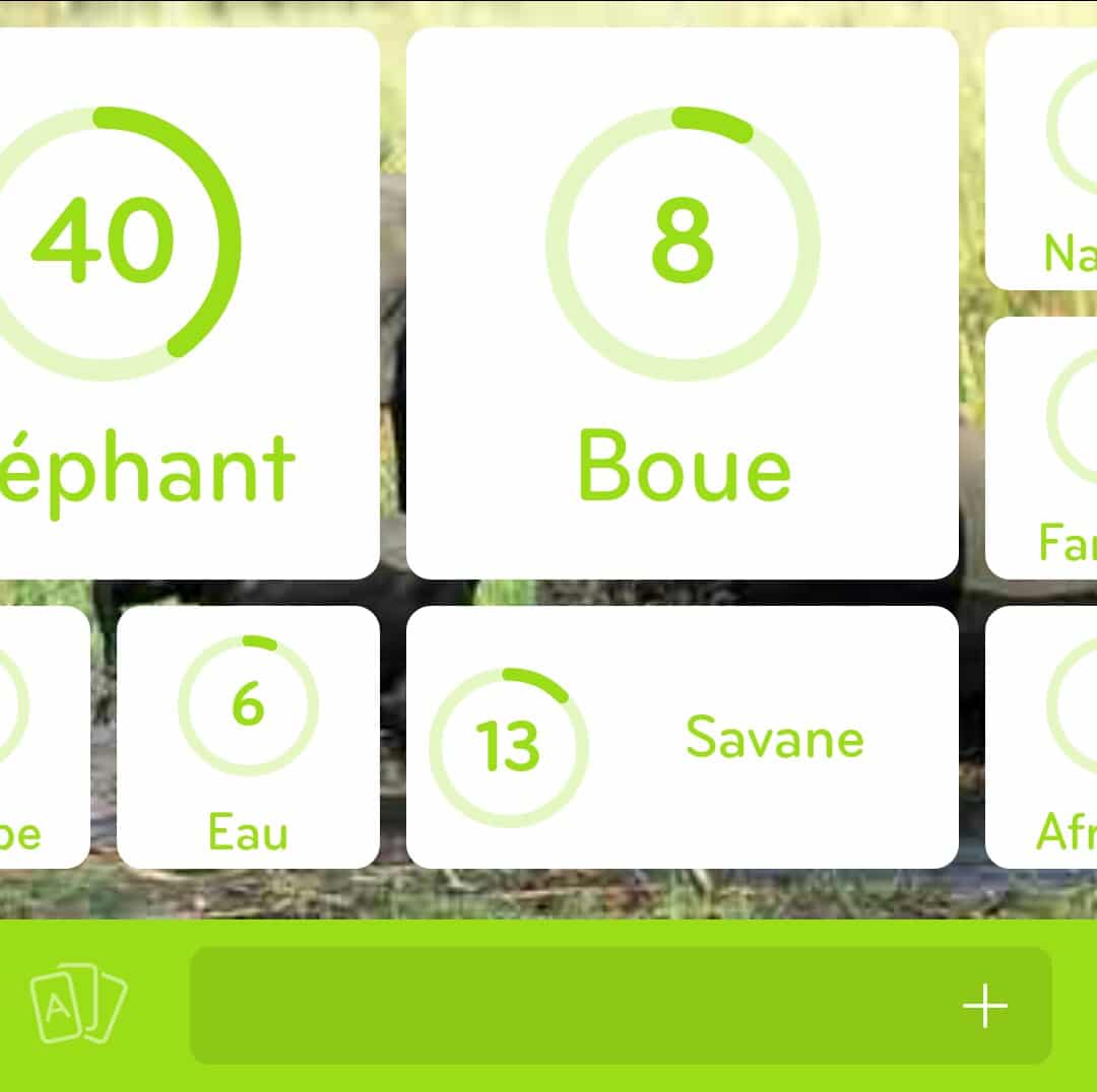 Images des solutions, réponses et aide pour le niveau 22 : Photo éléphants du jeu mobile 94%