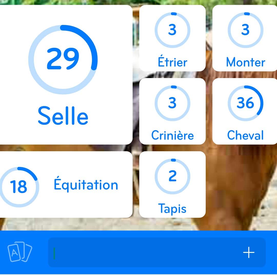 Images des solutions, réponses et aide pour le niveau 183 : Photo d'un cheval équipé d'une selle du jeu mobile 94%