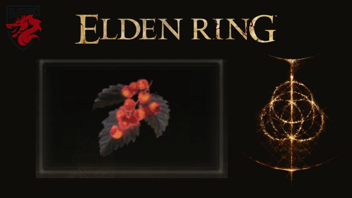 Baies de sorbier dorées dans Elden Ring informations Alucare