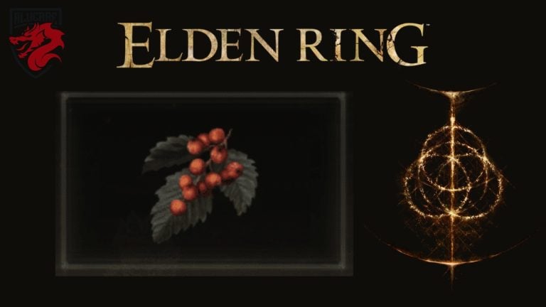 Baies de sorbier Elden Ring