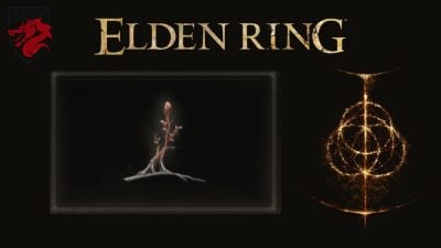 Botão sacramental Elden Ring