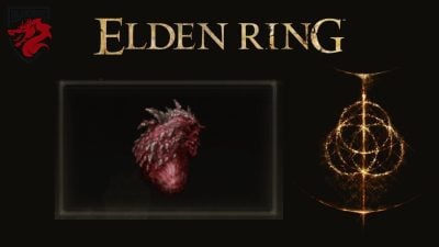 Сердце дракона Elden Ring