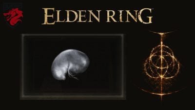 Как восстановить информацию о Elden Ring и личиночной слезе!