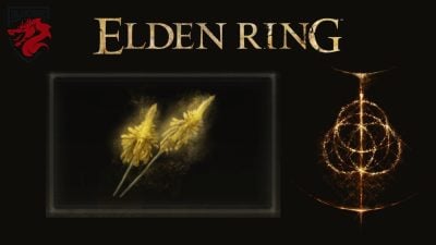 Altus flowers Elden Ring