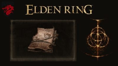 Manual do armeiro (5) Elden Ring