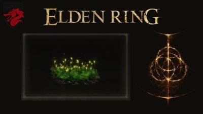 Budding cave moss Elden Ring