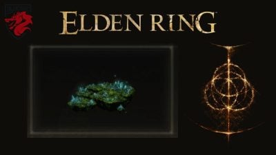 Musgo cristalino de las cavernas Elden Ring