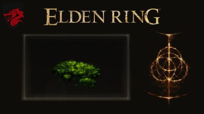 Musgo das cavernas Elden Ring