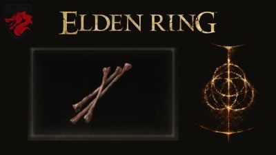 Huesos finos de animales Elden Ring