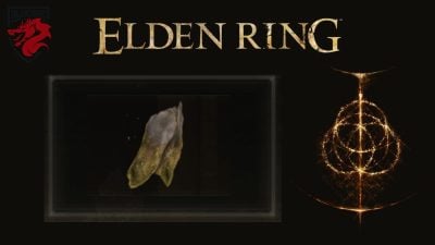 Carne branca seca Immune Elden Ring