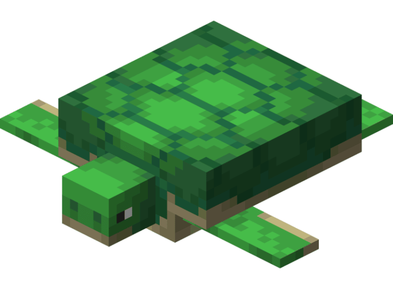 A quoi servent les carapaces de tortues dans Minecraft ? 👇Alucare