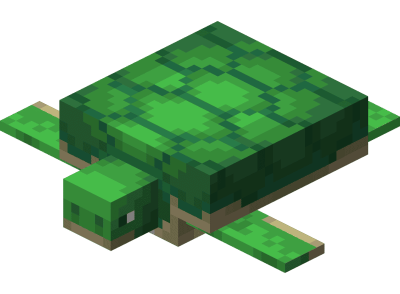 Conchas de tartaruga de imagem em Minecraft