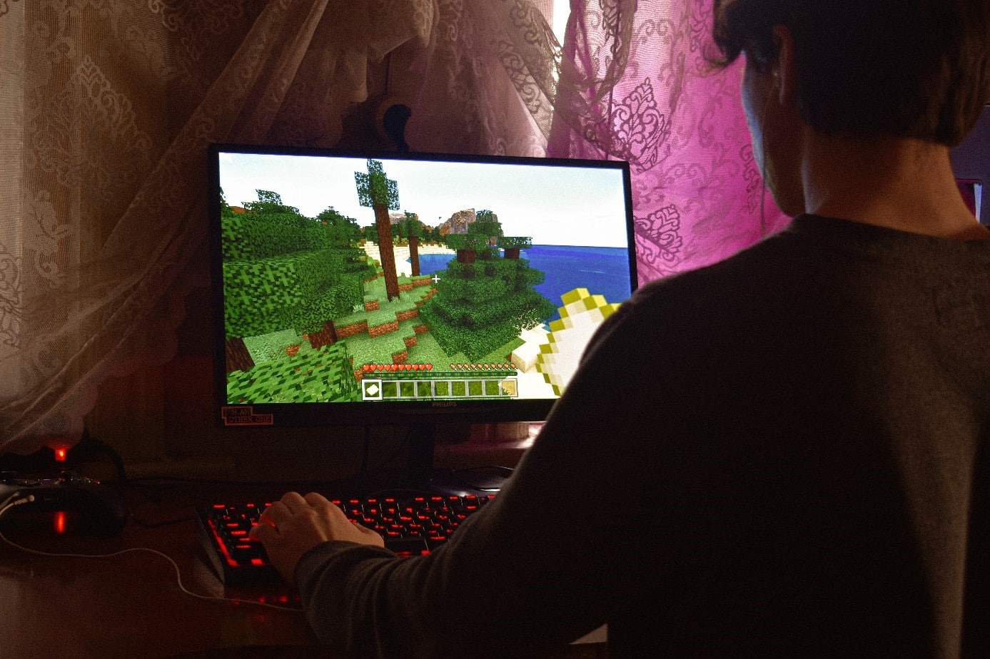 Imagem ilustrativa do jogo Minecraft