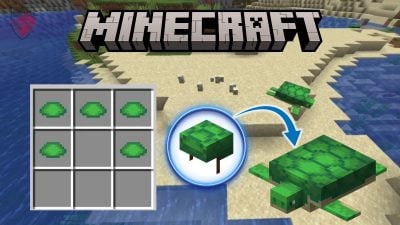 Ilustrasi cangkang penyu dalam Minecraft
