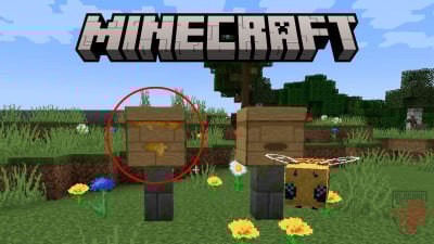 Ilustração para o nosso artigo "Como encontrar mel em Minecraft".