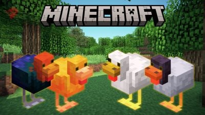 Ilustração de galinhas no Minecraft