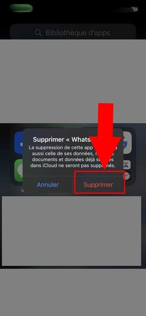 Konfirmasi penghapusan WhatsApp 