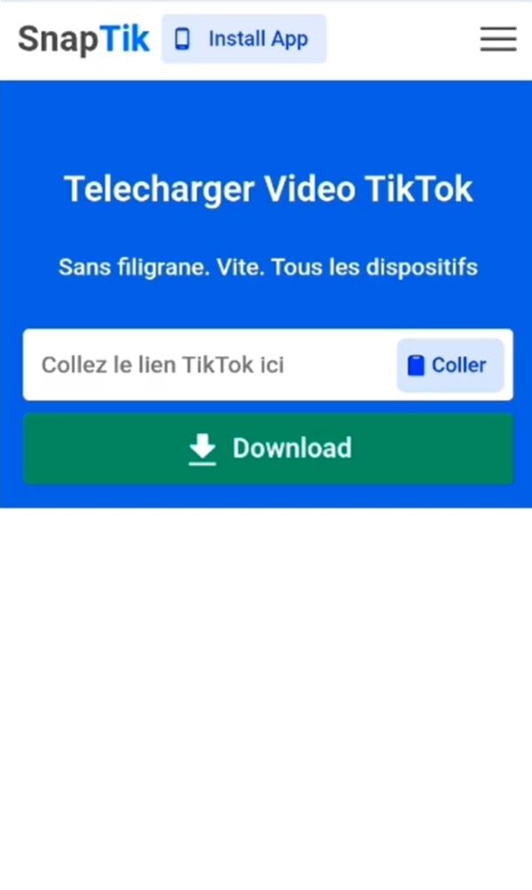 Вставьте ссылку на видео из TikTok и запустите загрузку на сайте.