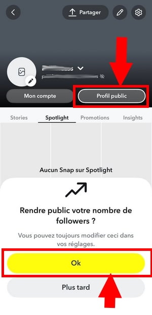 Rendre un profil public sur Snapchat