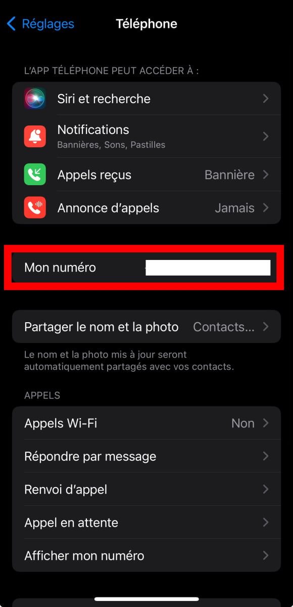 Schermata del menu del telefono in Impostazioni 