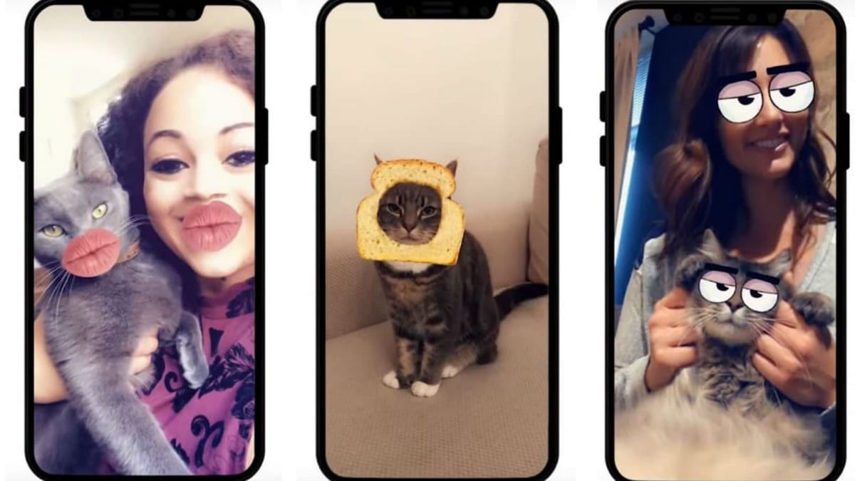 (Aperçu d’un filtre Snapchat utilisé sur un chat. Image prise sur Internet)