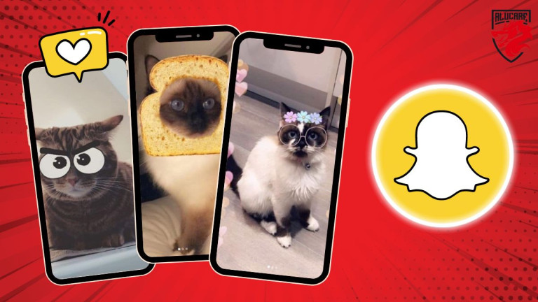 Illustration en image pour notre article "Quels filtres Snapchat fonctionnent sur les chats"