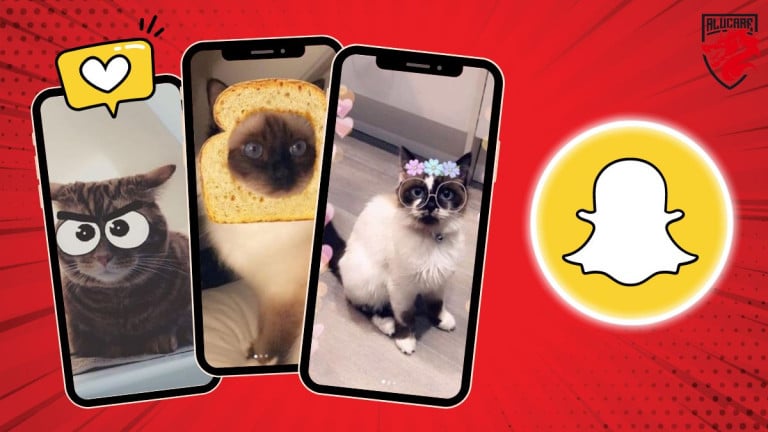 Иллюстрация к статье "Какие фильтры Snapchat работают на кошках".