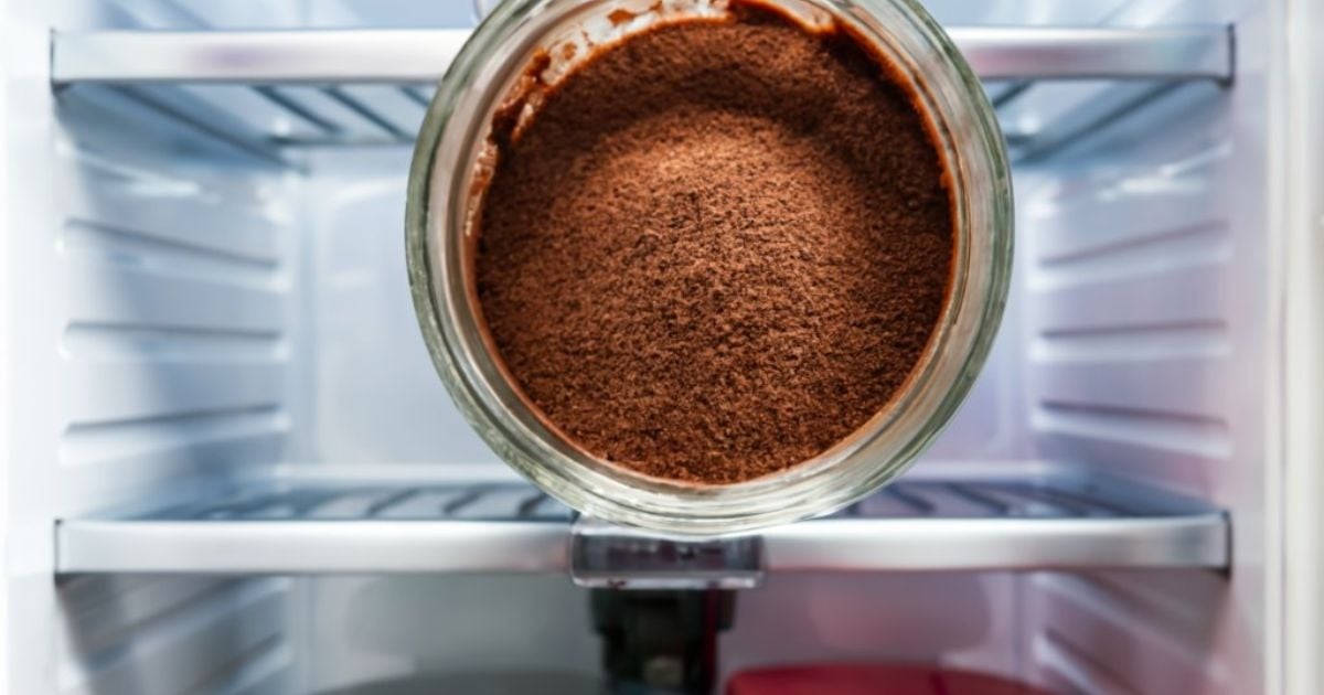 Imagem de borras de café utilizadas para desodorizar naturalmente um frigorífico