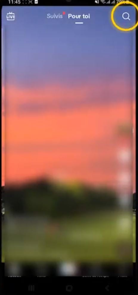 Barra di ricerca di TikTok.