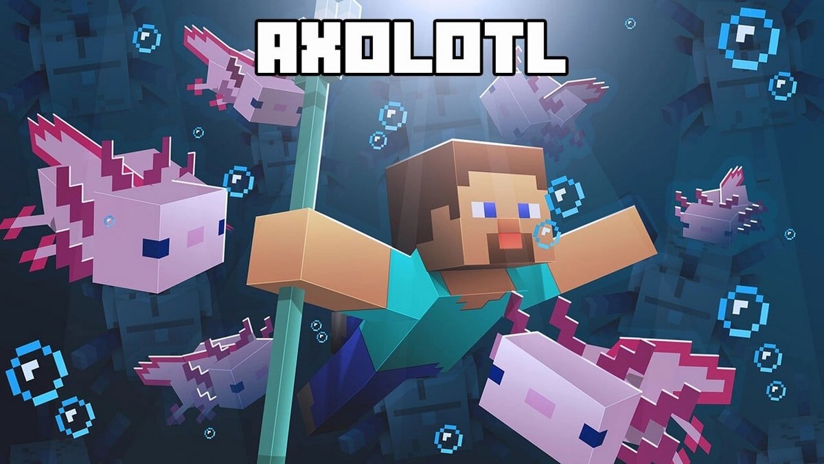 What Do Axolotls Eat in Minecraft - Complete Guide 2023 - Axolotl Expert