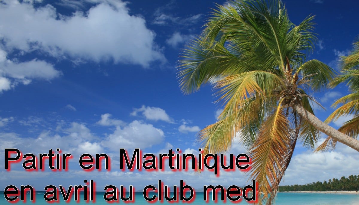 Partir en Martinique en avril au club med avec un palmier et la plage
