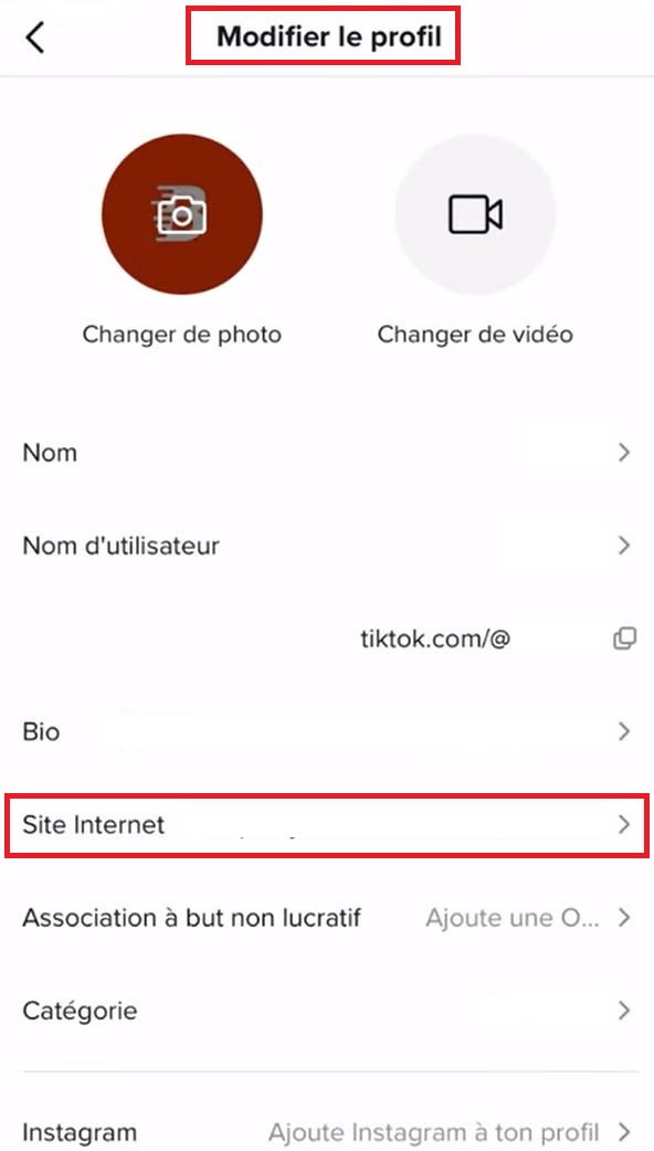 TikTok个人资料编辑菜单,突出显示“网站”字段。.