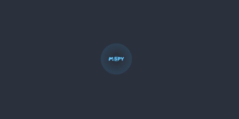 MSpy-Wartebildschirm