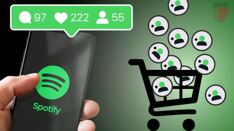 Hvor kan man købe franske Spotify-følgere?
