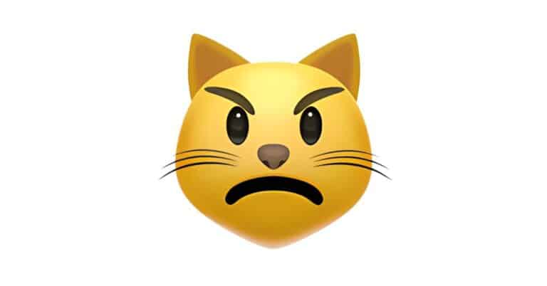 Imagen de emoji de gato enojado