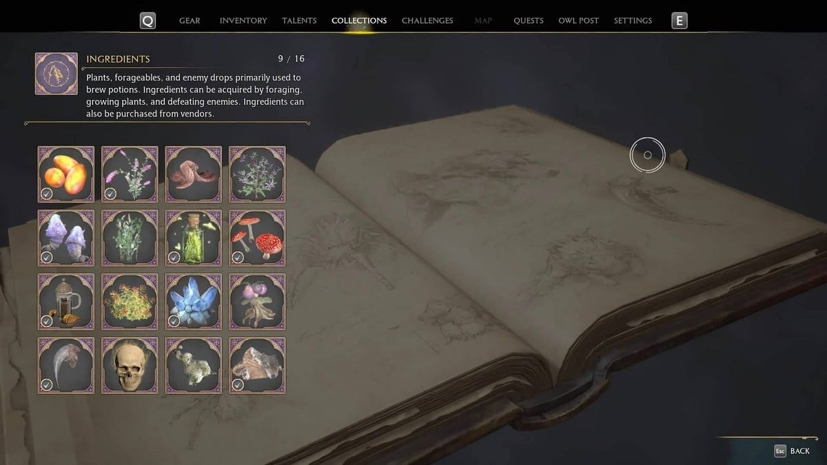 Ingrédients de potions dans Hogwarts Legacy