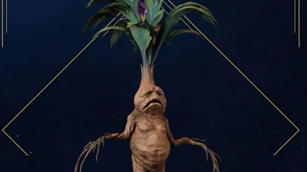 Mandrake i Hogwarts Legacy