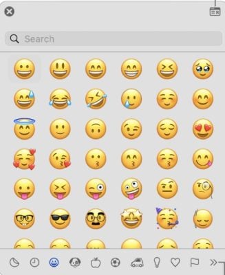 The emoji viewer on the Mac