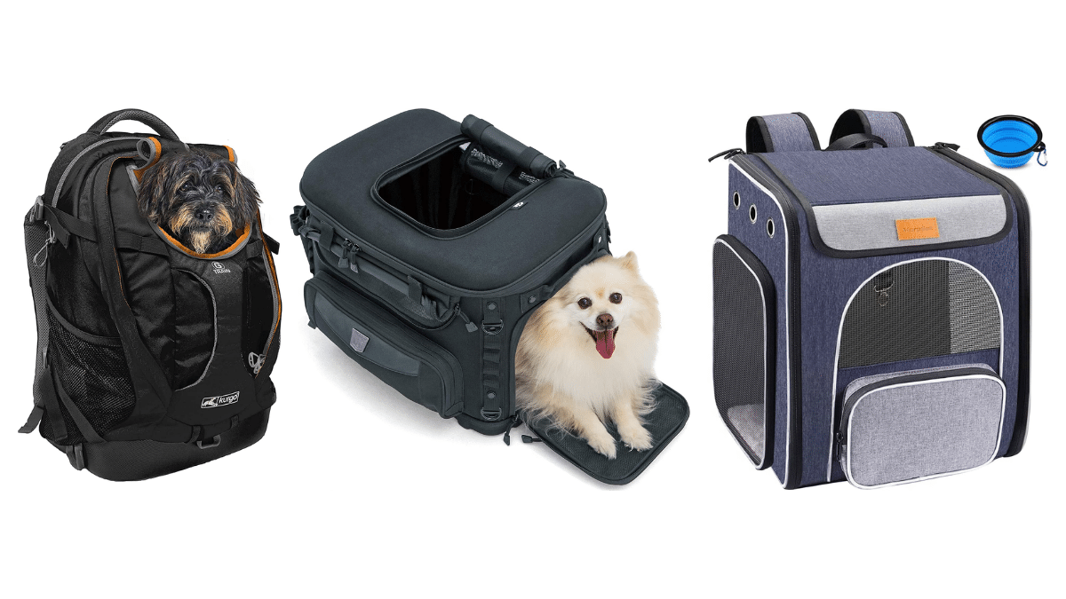 TOP 3 Motorcycle backpacks for dogs