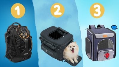 Melhores sacos de mota para cães Comparação, preços e opiniões