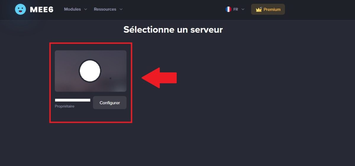 Screenshot de la sélection du serveur Discord sur lequel ajouter MEE6