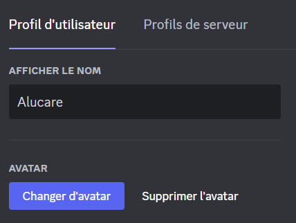 Cambia il suo nome visualizzato Discord