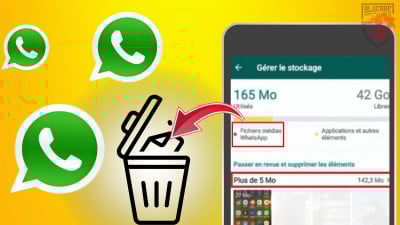 Ilustração da imagem para o nosso artigo "Como remover conteúdos multimédia indesejados do WhatsApp do seu telemóvel Android"