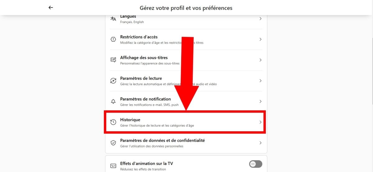 Capture d'écran sur le site officiel de Netflix pour trouver son historique.